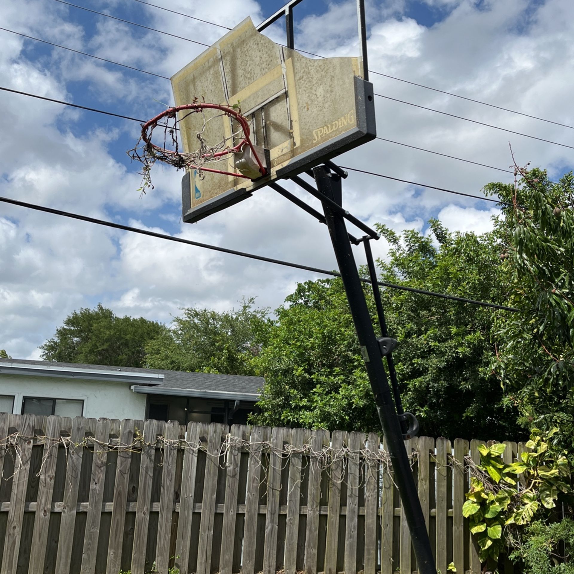 Basketball Hoop Must Go 