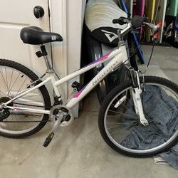 Trek and Nishiki Bikes 