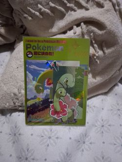 Japanese Pokémon Holographic Sticker Card
