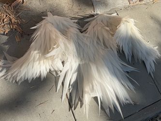 HANDMADE WINGS