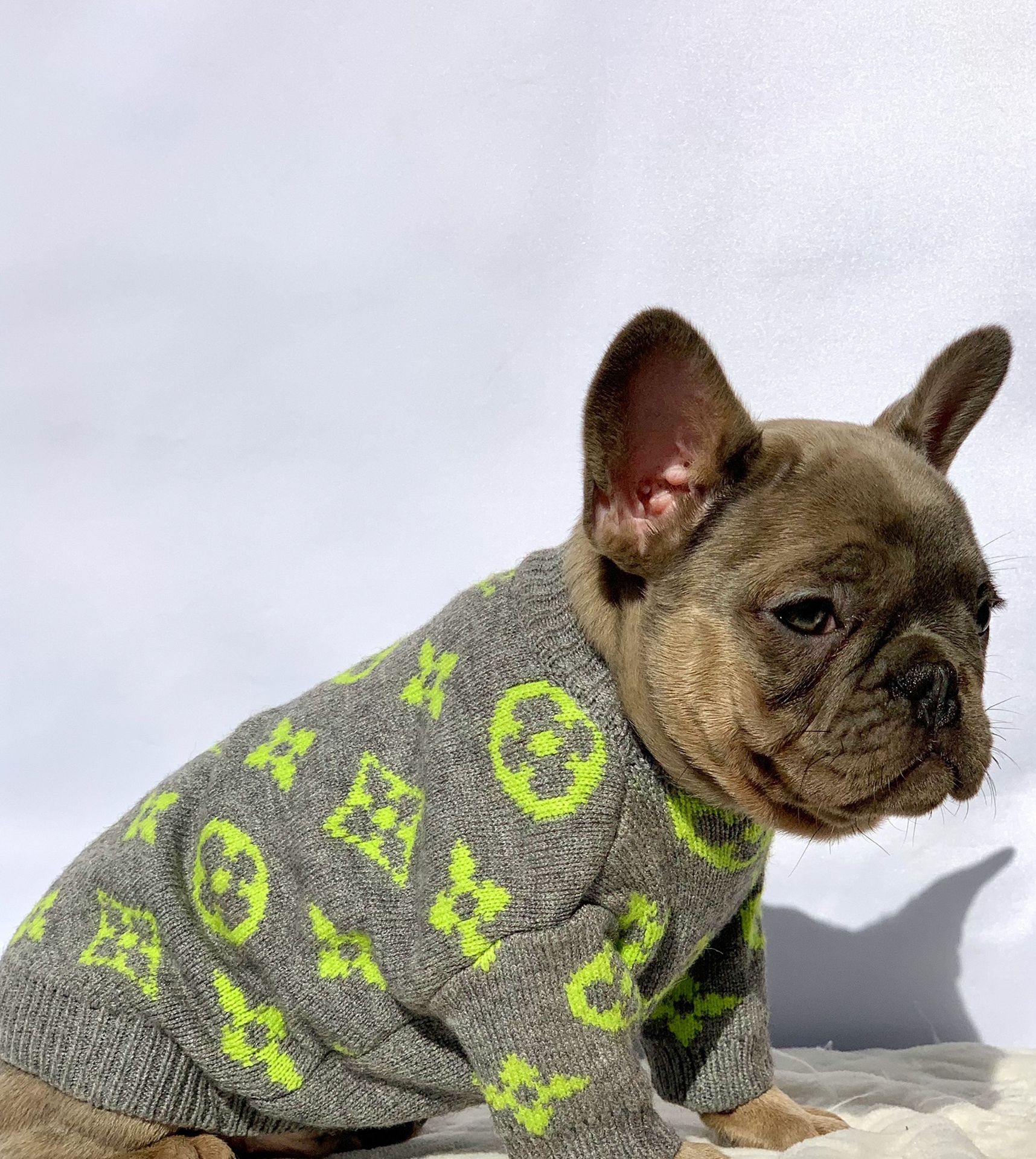 DOG SWEATER