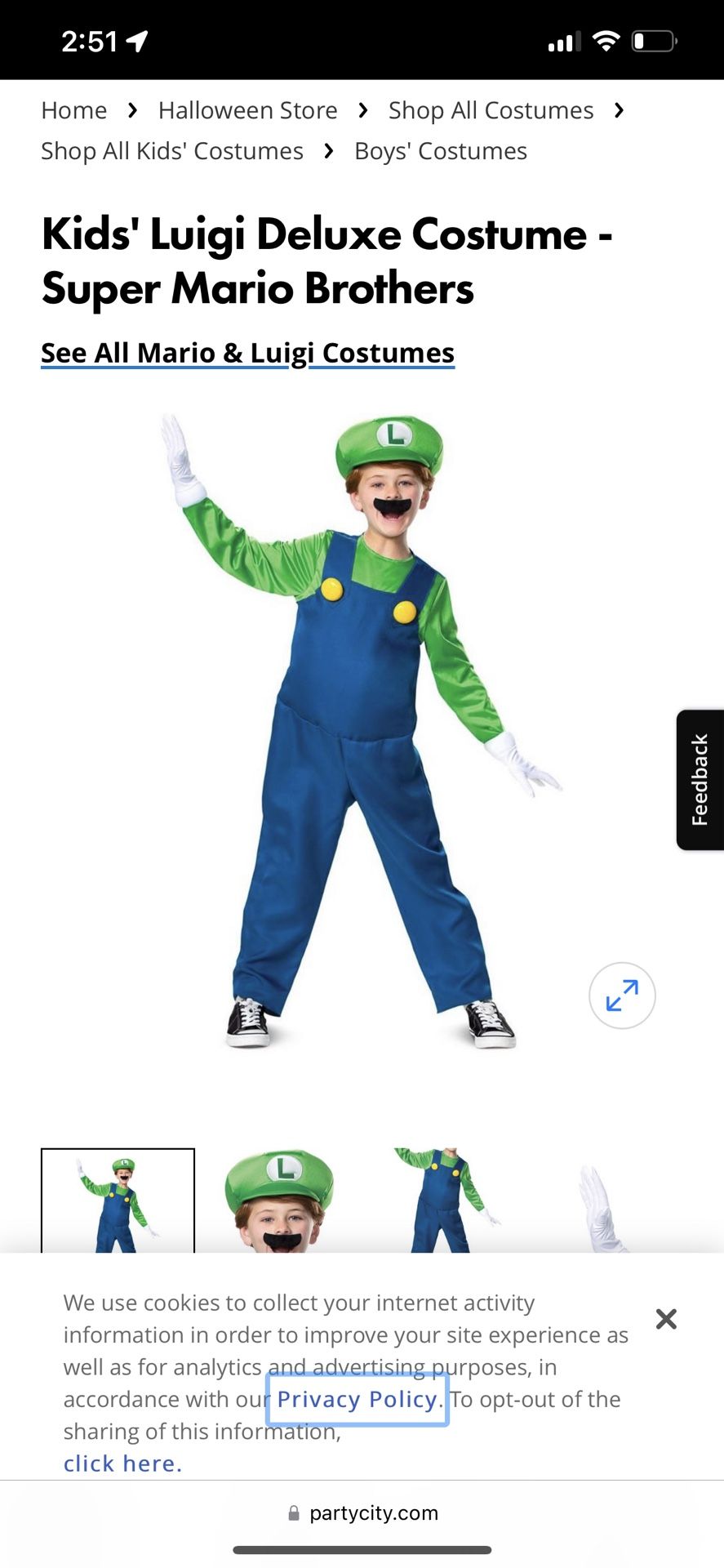 Luigi Costume