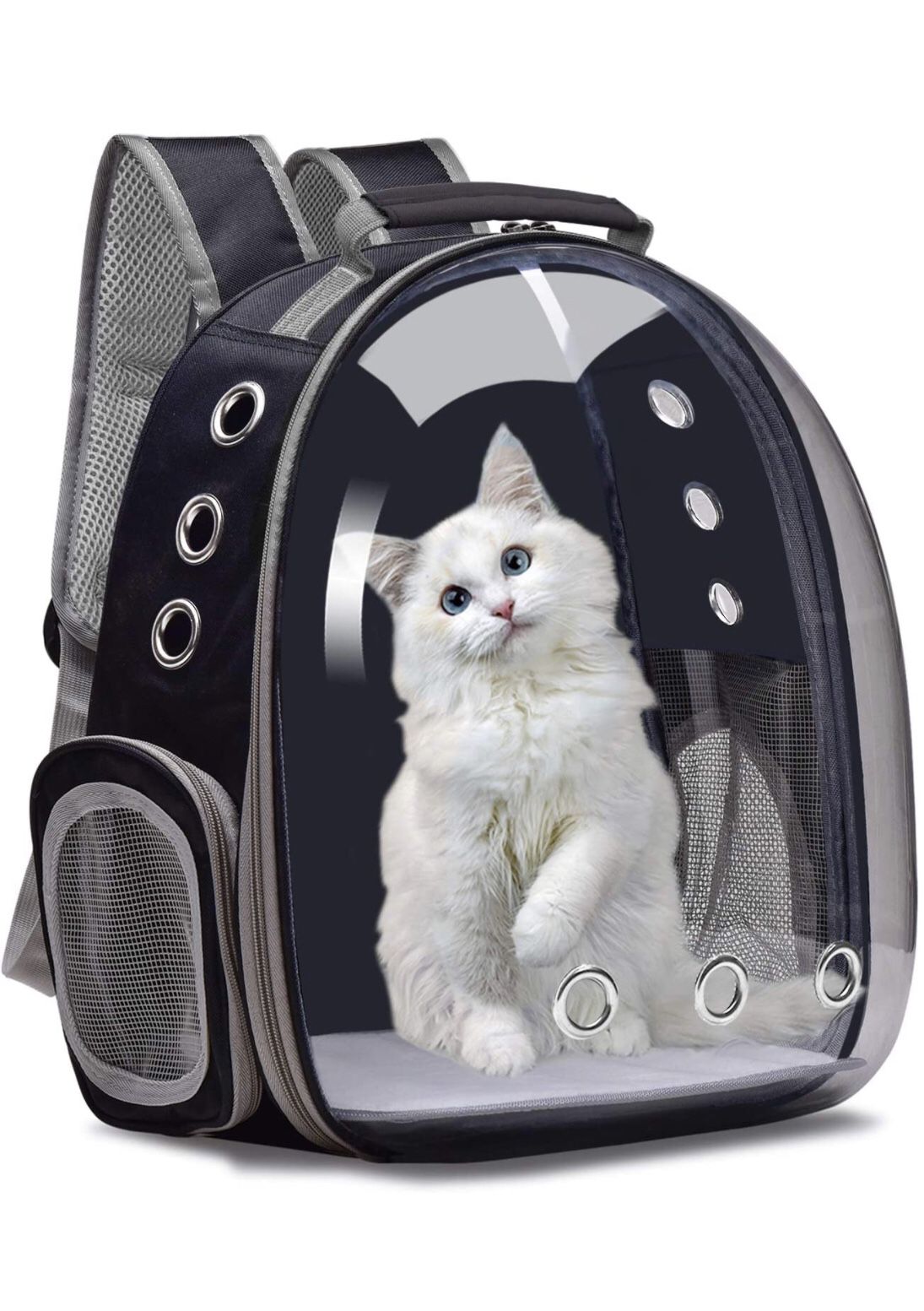 Cat’s Travel Carrier