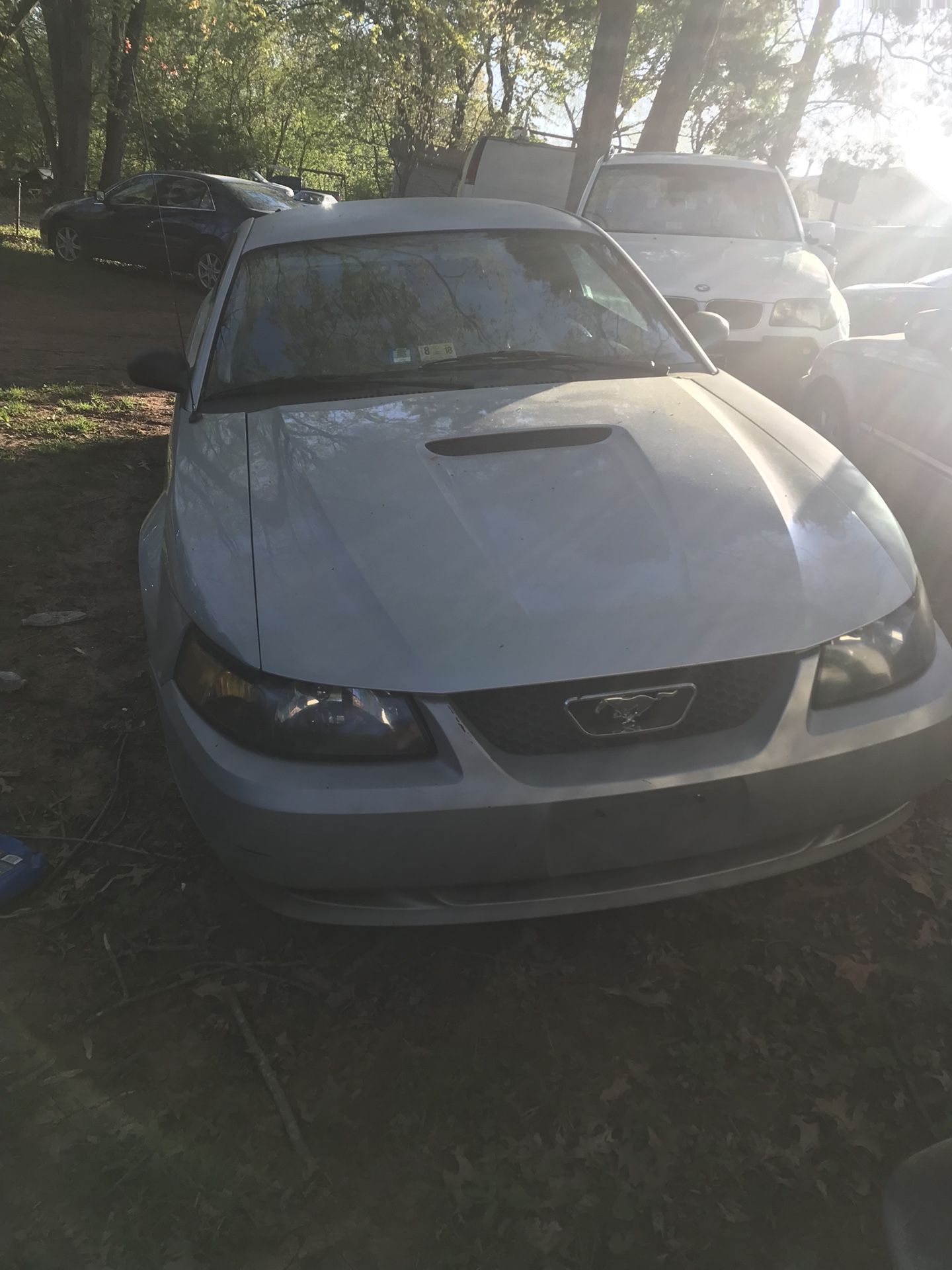 2000 Ford Mustang