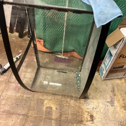 Fish Tank 