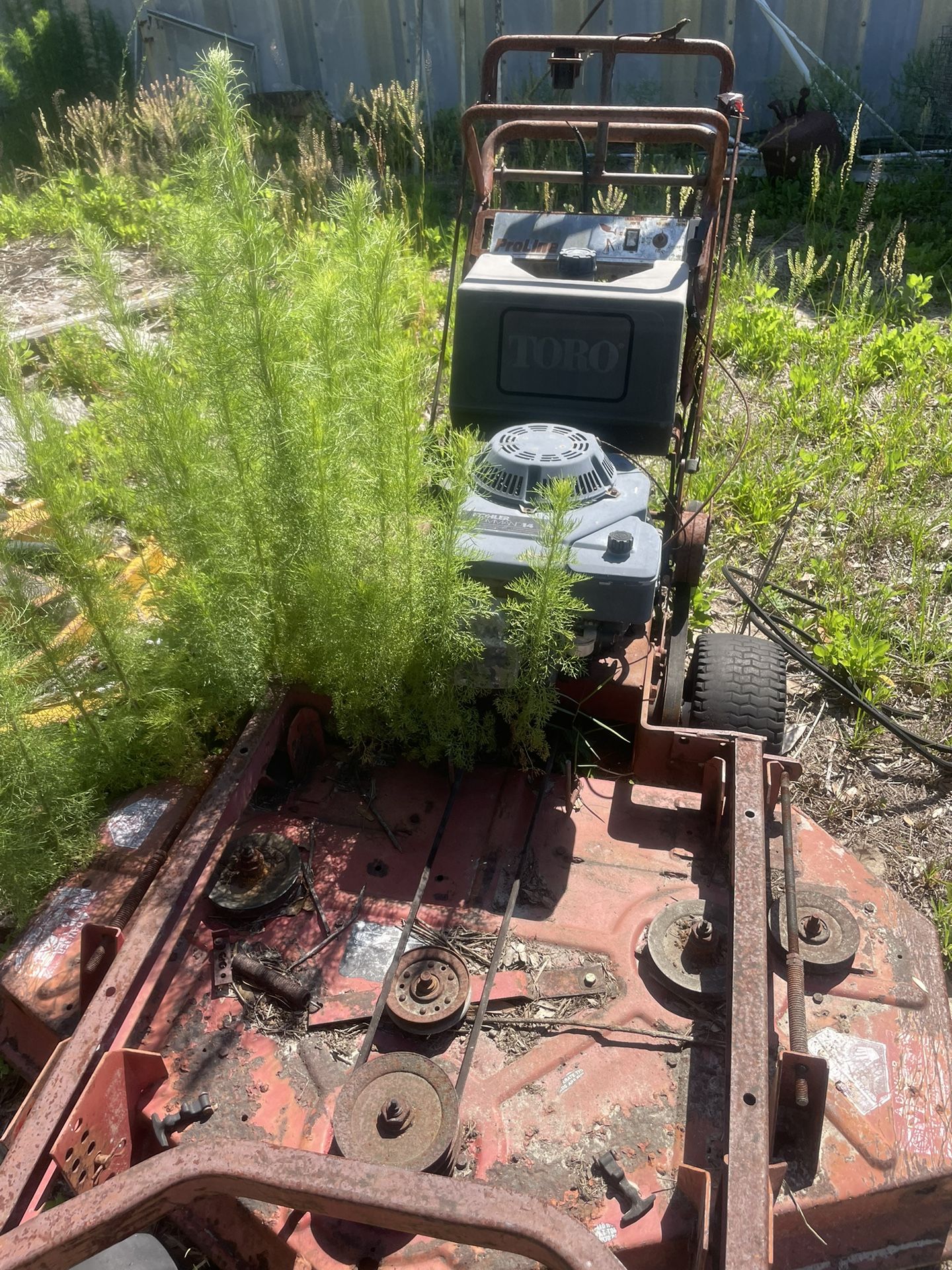 Mower