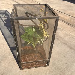 Reptile Cage