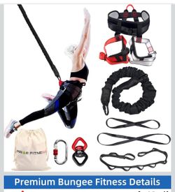 Bungee fitness harness
