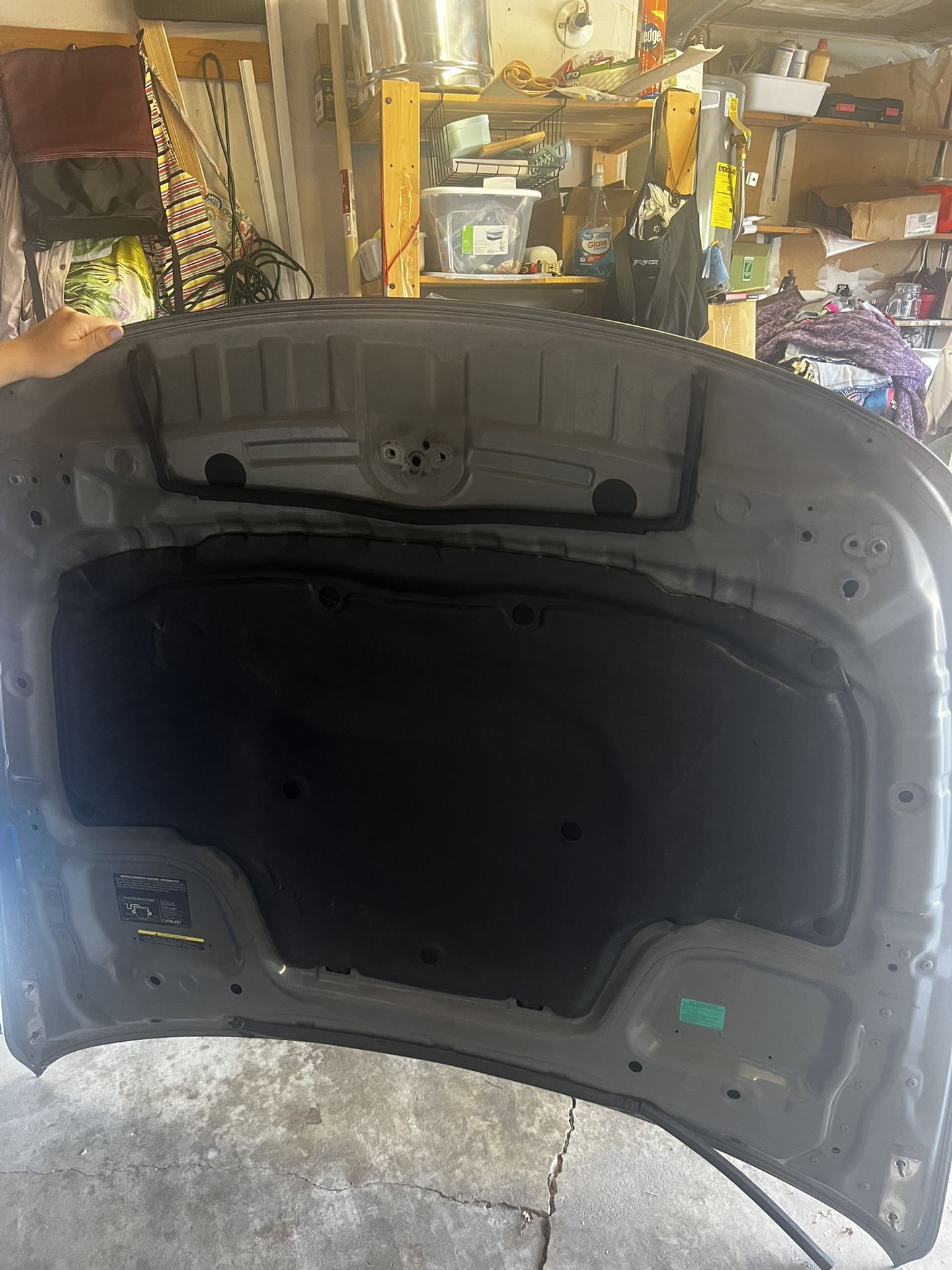 Infiniti G37 Coupe Hood