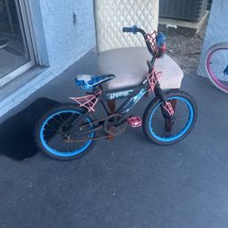 One Small Spider Bio For Small Boys