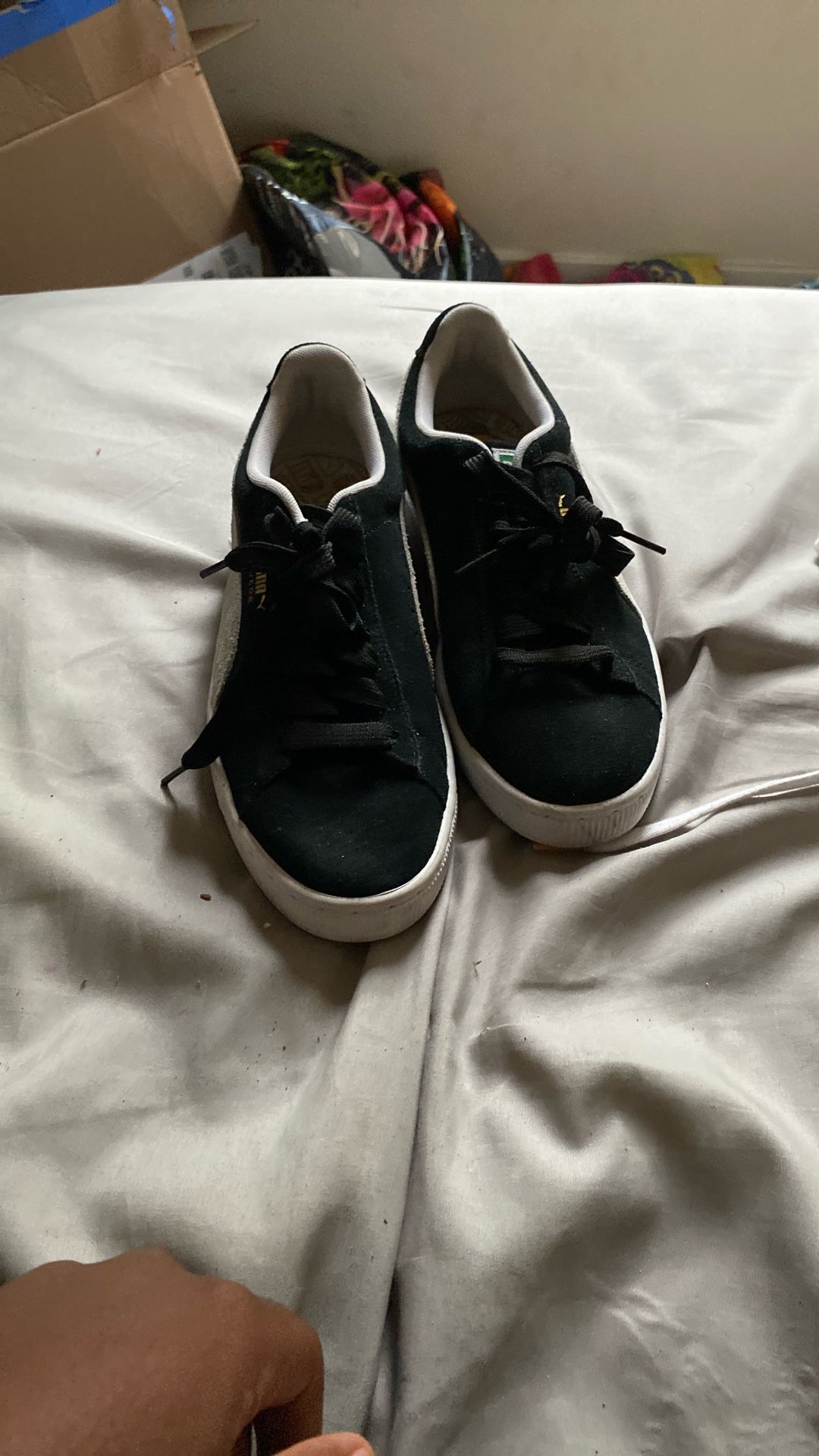 Puma