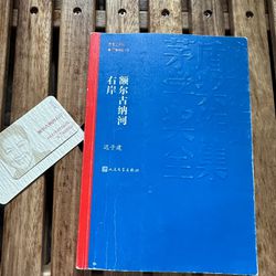 中文书 额尔古纳河右岸 迟子建 Chinese Book
