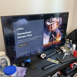 Flat Screen Vizio TV