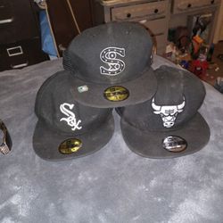 Sox And Bulls Hats