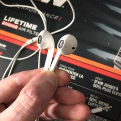 Apple Wired Earbuds 