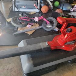 Toro Ultra Blower Vac