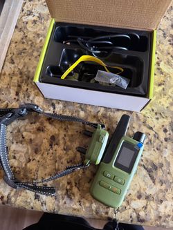 Dog Training Collar