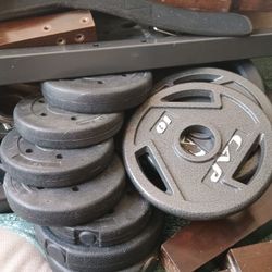 Weights/Olympic Bar 