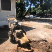 Stump Grinding 