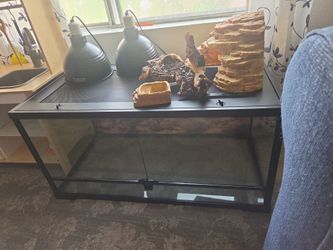 Terrarium