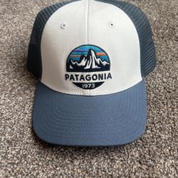Patagonia Blue And White Snapback 