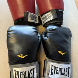 Everlast Boxing Gloves 