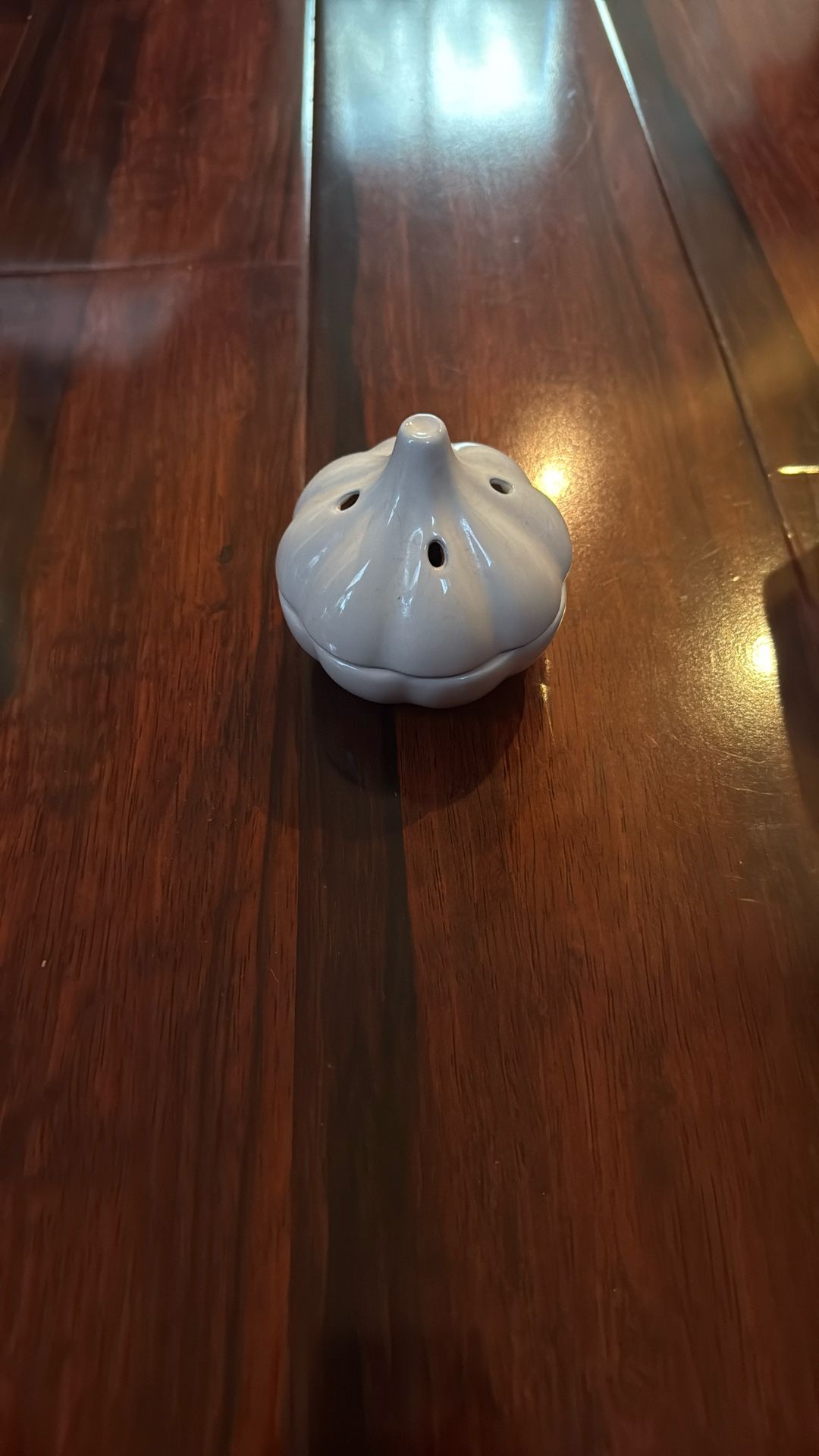 Garlic Storage Container