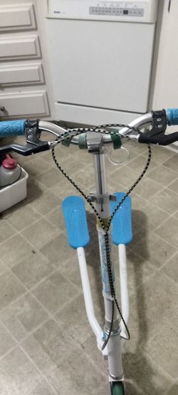 2 Ski motion trikes