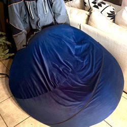 Bean Bag Giant 