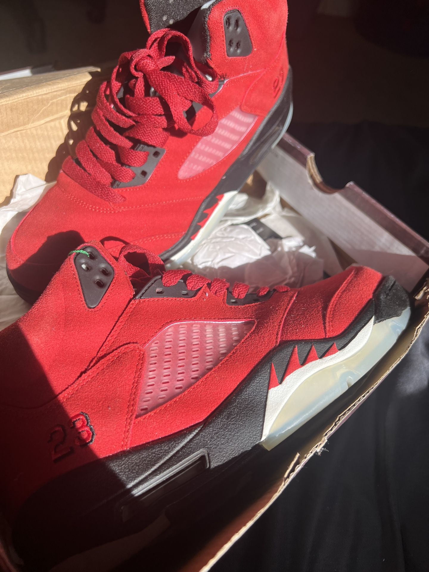 Raging Bull Jordan 6s