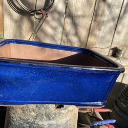 Bonsai Pot Blue Color Over 10 Inch Wide $30 Each Each