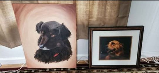 Two Nice Dog Pictures