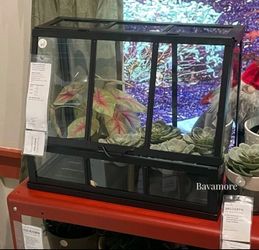 Small greenhouse