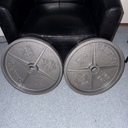 Two 45 Pound Weighted Plates