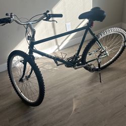 Trek Mountain Bike 