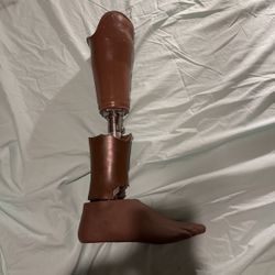 Leg 