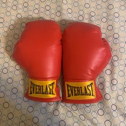 Everlast Boxing Gloves