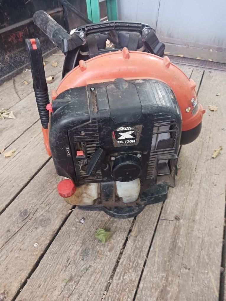 Echo Leaf Blower