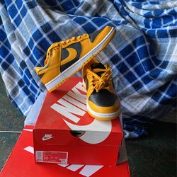 Nike Dunk Low Retro Size 10 New Ds