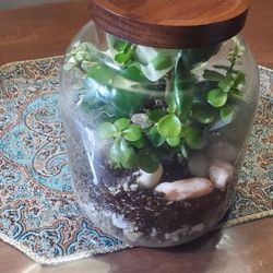 Terrarium