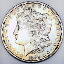 Morgan Silver Dollars & Other Silver Coins