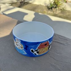 Dog Bowl