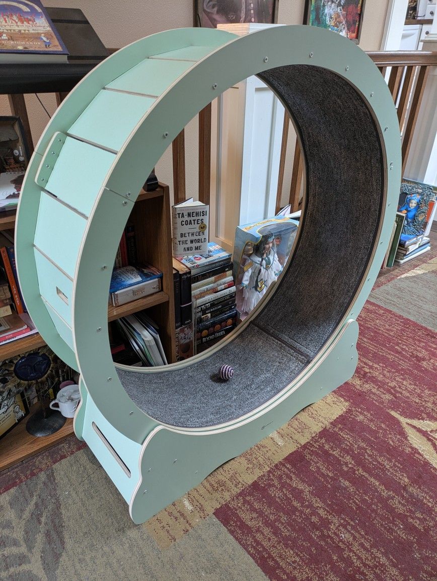 Miwooyy Cat Run Exercise Wheel