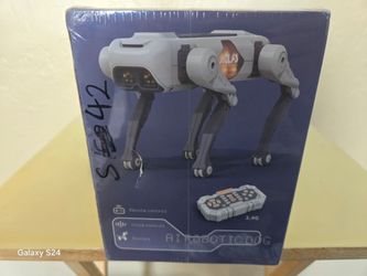 Robotic Dog