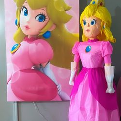 Princess Peach Pinata 