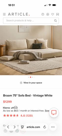 Article sleeper sofa