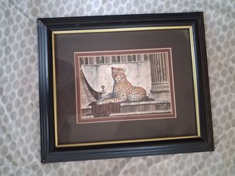 Frame picture
