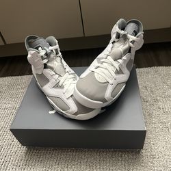 Jordan 6’s Cool Grey