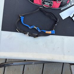 Wonder Walker Harness -Small 15.00