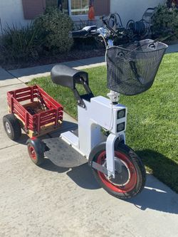 Action M Electric Scooter